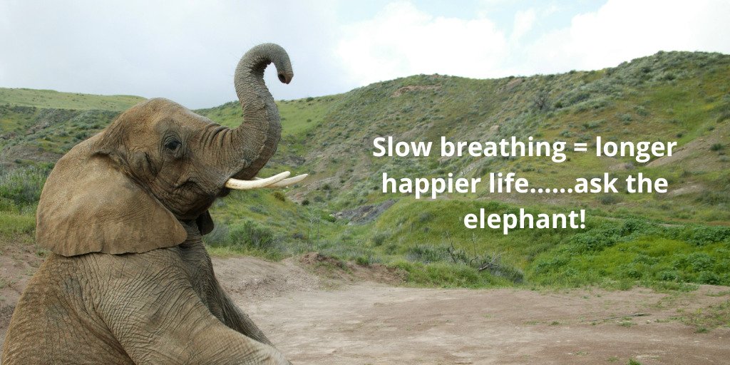 Breath control stress relief